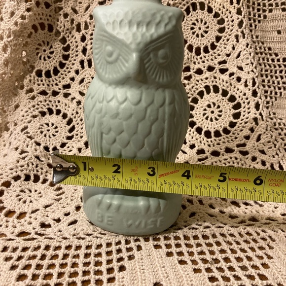 “Be Wise” Owl Bank - Pastel Chalk Paint Eggshell Blue - Picture 11 of 11